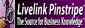 Livelink Pinstripe